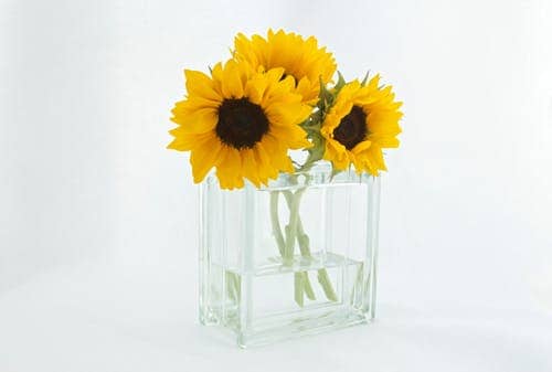 Glass Vases To Fill Your Home With Flowers And Delight